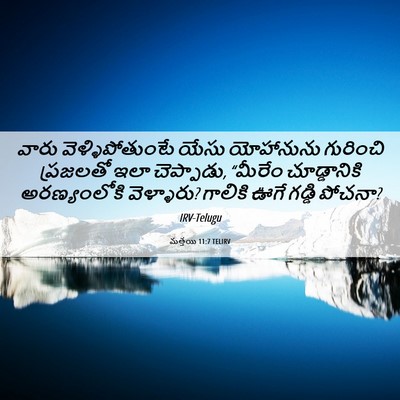 Picture 06 - మత్తయి 11:7 TELIRV - వారు - Bible Verse Picture