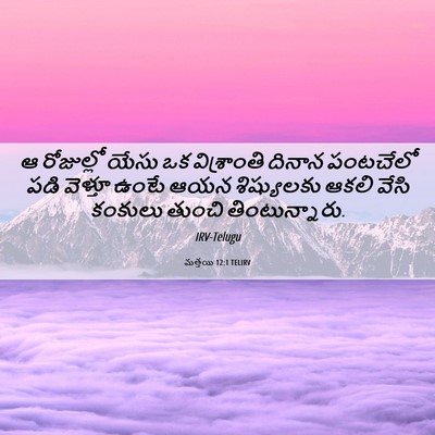 Picture 06 - మత్తయి 12:1 TELIRV - ఆ రోజుల్లో యేసు ఒక - Bible Verse Picture