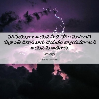 Picture 06 - మత్తయి 12:10 TELIRV - పరిసయ్యులు ఆయన - Bible Verse Picture