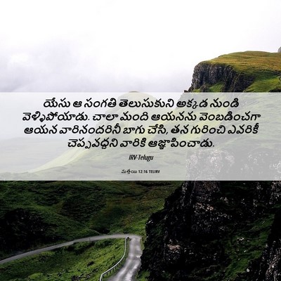 Picture 06 - మత్తయి 12:16 TELIRV - యేసు ఆ సంగతి - Bible Verse Picture
