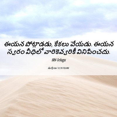 Picture 06 - మత్తయి 12:19 TELIRV - ఈయన పోట్లాడడు, - Bible Verse Picture