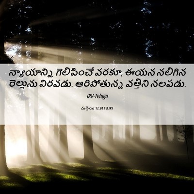 Picture 06 - మత్తయి 12:20 TELIRV - న్యాయాన్ని - Bible Verse Picture