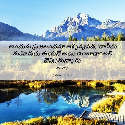Picture 06 - మత్తయి 12:23 TELIRV - అందుకు ప్రజలందరూ - Bible Verse Picture