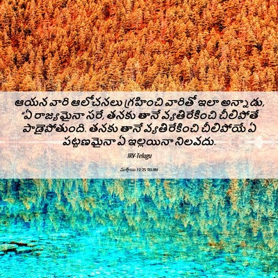 Picture 06 - మత్తయి 12:25 TELIRV - ఆయన వారి ఆలోచనలు - Bible Verse Picture