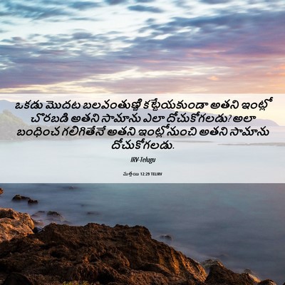 Picture 06 - మత్తయి 12:29 TELIRV - ఒకడు మొదట - Bible Verse Picture