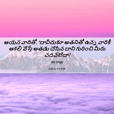 Picture 06 - మత్తయి 12:3 TELIRV - ఆయన వారితో, - Bible Verse Picture
