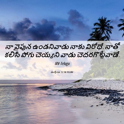 Picture 06 - మత్తయి 12:30 TELIRV - నా వైపున - Bible Verse Picture