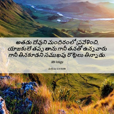Picture 06 - మత్తయి 12:4 TELIRV - అతడు దేవుని - Bible Verse Picture