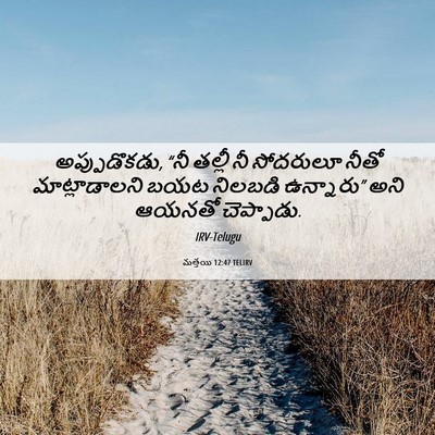 Picture 06 - మత్తయి 12:47 TELIRV - అప్పుడొకడు, “నీ - Bible Verse Picture