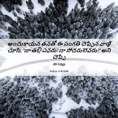 Picture 06 - మత్తయి 12:48 TELIRV - అందుకాయన తనతో ఈ - Bible Verse Picture