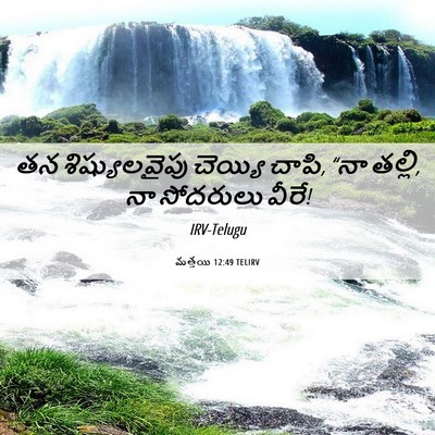 Picture 06 - మత్తయి 12:49 TELIRV - తన శిష్యులవైపు - Bible Verse Picture