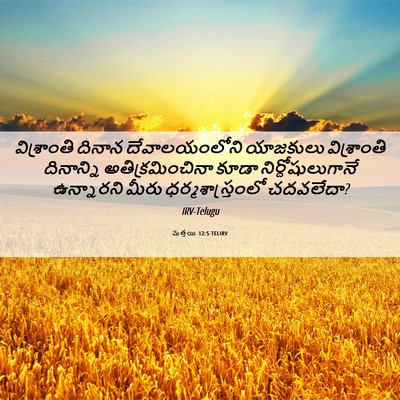 Picture 06 - మత్తయి 12:5 TELIRV - విశ్రాంతి దినాన - Bible Verse Picture