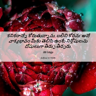 Picture 06 - మత్తయి 12:7 TELIRV - ‘కనికరాన్నే - Bible Verse Picture
