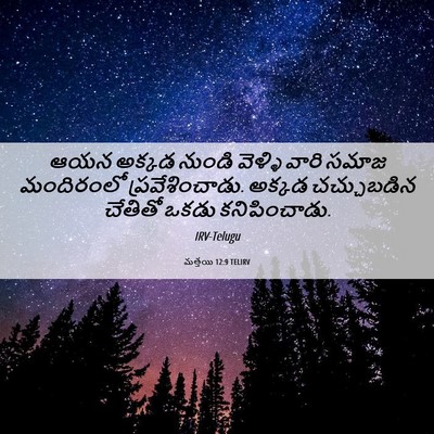 Picture 06 - మత్తయి 12:9 TELIRV - ఆయన అక్కడ నుండి - Bible Verse Picture