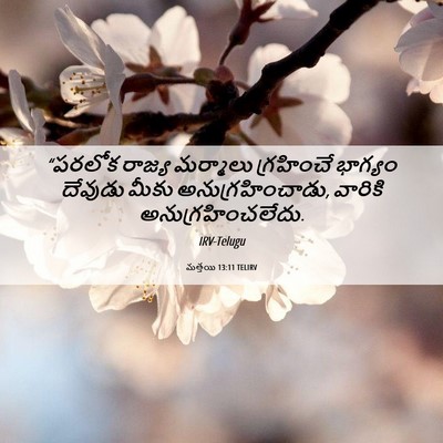 Picture 06 - మత్తయి 13:11 TELIRV - “పరలోక రాజ్య - Bible Verse Picture