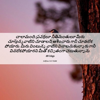 Picture 06 - మత్తయి 13:17 TELIRV - చాలామంది - Bible Verse Picture