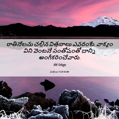 Picture 06 - మత్తయి 13:20 TELIRV - రాతినేలను చల్లిన - Bible Verse Picture