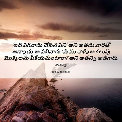 Picture 06 - మత్తయి 13:28 TELIRV - ‘ఇది పగవాడు చేసిన - Bible Verse Picture