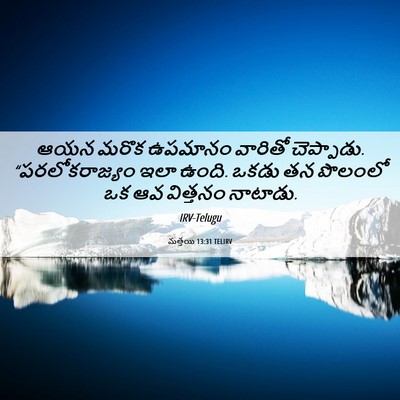 Picture 06 - మత్తయి 13:31 TELIRV - ఆయన మరొక ఉపమానం - Bible Verse Picture