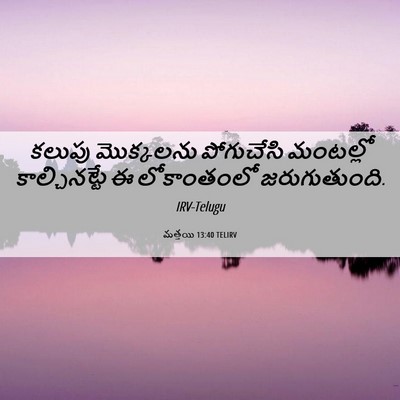 Picture 06 - మత్తయి 13:40 TELIRV - కలుపు మొక్కలను - Bible Verse Picture