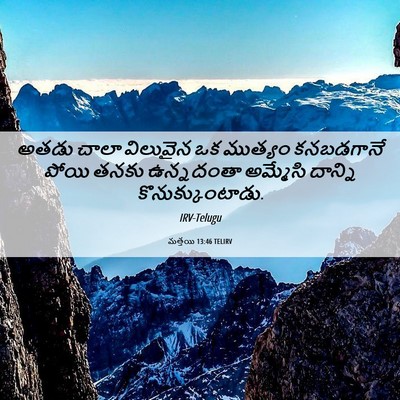 Picture 06 - మత్తయి 13:46 TELIRV - అతడు చాలా విలువైన - Bible Verse Picture
