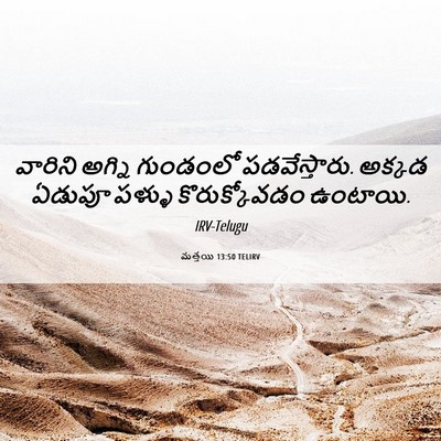 Picture 06 - మత్తయి 13:50 TELIRV - వారిని అగ్ని - Bible Verse Picture