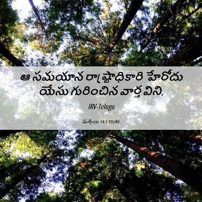 Picture 06 - మత్తయి 14:1 TELIRV - ఆ సమయాన - Bible Verse Picture