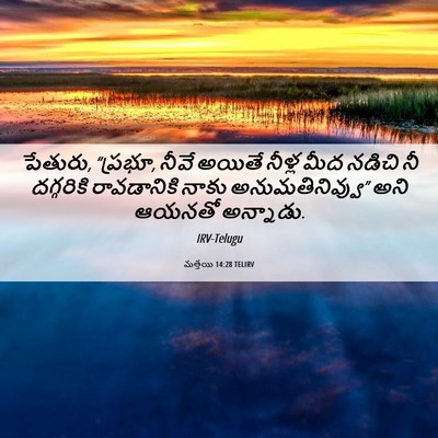 Picture 06 - మత్తయి 14:28 TELIRV - పేతురు, “ప్రభూ, - Bible Verse Picture