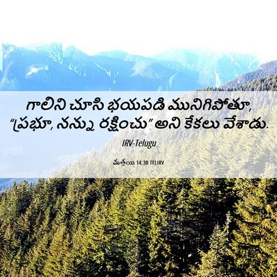 Picture 06 - మత్తయి 14:30 TELIRV - గాలిని చూసి భయపడి - Bible Verse Picture