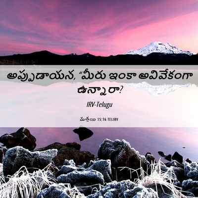 Picture 06 - మత్తయి 15:16 TELIRV - అప్పుడాయన, “మీరు - Bible Verse Picture