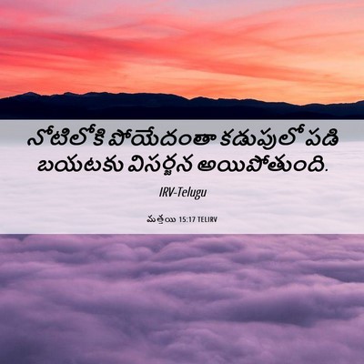 Picture 06 - మత్తయి 15:17 TELIRV - నోటిలోకి పోయేదంతా - Bible Verse Picture