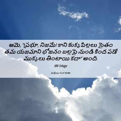 Picture 06 - మత్తయి 15:27 TELIRV - ఆమె, “ప్రభూ, నిజమే! - Bible Verse Picture