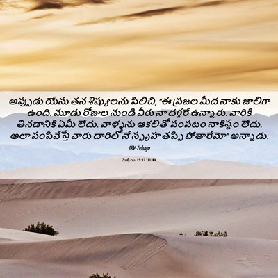 Picture 06 - మత్తయి 15:32 TELIRV - అప్పుడు యేసు తన - Bible Verse Picture