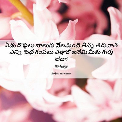 Picture 06 - మత్తయి 16:10 TELIRV - ఏడు రొట్టెలు - Bible Verse Picture