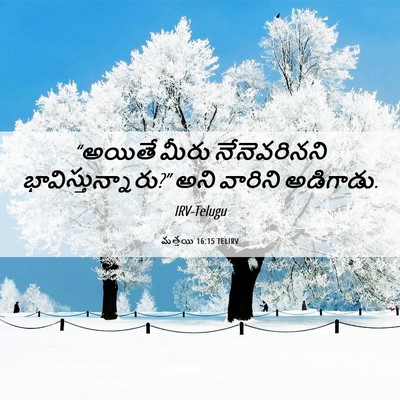 Picture 06 - మత్తయి 16:15 TELIRV - “అయితే మీరు - Bible Verse Picture