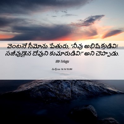 Picture 06 - మత్తయి 16:16 TELIRV - వెంటనే సీమోను - Bible Verse Picture