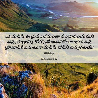 Picture 06 - మత్తయి 16:26 TELIRV - ఒక మనిషి ఈ - Bible Verse Picture