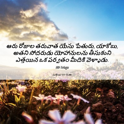 Picture 06 - మత్తయి 17:1 TELIRV - ఆరు రోజుల తరువాత - Bible Verse Picture