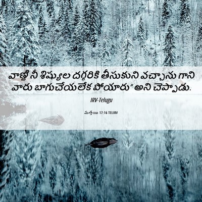 Picture 06 - మత్తయి 17:16 TELIRV - వాణ్ణి నీ శిష్యుల - Bible Verse Picture