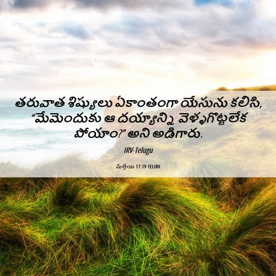 Picture 06 - మత్తయి 17:19 TELIRV - తరువాత శిష్యులు - Bible Verse Picture