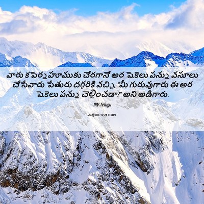 Picture 06 - మత్తయి 17:24 TELIRV - వారు కపెర్నహూముకు - Bible Verse Picture