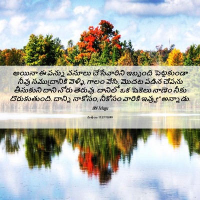 Picture 06 - మత్తయి 17:27 TELIRV - అయినా ఈ పన్ను - Bible Verse Picture