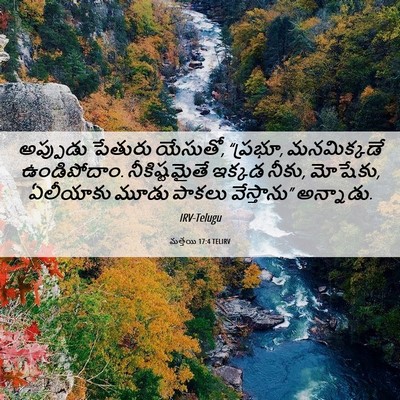 Picture 06 - మత్తయి 17:4 TELIRV - అప్పుడు పేతురు - Bible Verse Picture