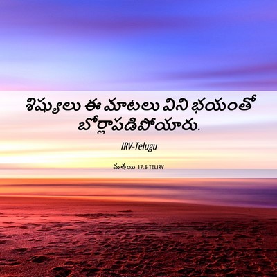 Picture 06 - మత్తయి 17:6 TELIRV - శిష్యులు ఈ మాటలు - Bible Verse Picture