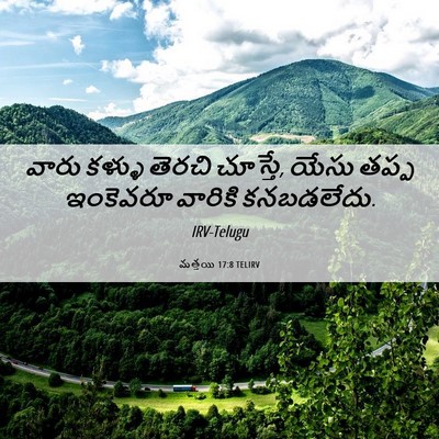 Picture 06 - మత్తయి 17:8 TELIRV - వారు కళ్ళు తెరచి - Bible Verse Picture