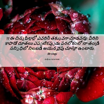 Picture 06 - మత్తయి 18:10 TELIRV - 10 ఈ చిన్నపిల్లల్లో - Bible Verse Picture