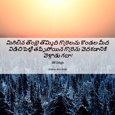 Picture 06 - మత్తయి 18:12 TELIRV - మిగిలిన తొంభై - Bible Verse Picture