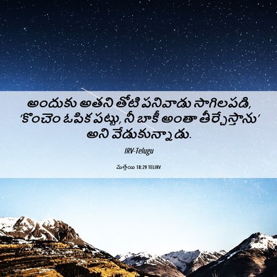 Picture 06 - మత్తయి 18:29 TELIRV - అందుకు అతని తోటి - Bible Verse Picture