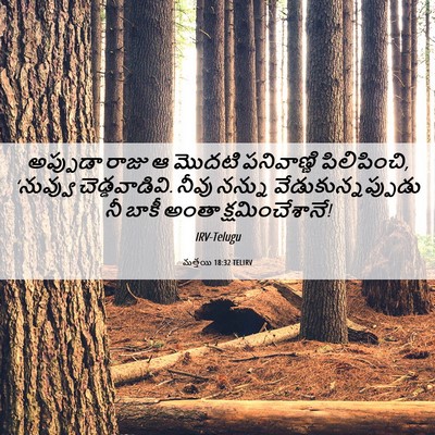 Picture 06 - మత్తయి 18:32 TELIRV - అప్పుడా రాజు ఆ - Bible Verse Picture