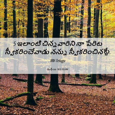Picture 06 - మత్తయి 18:5 TELIRV - 5 ఇలాంటి - Bible Verse Picture